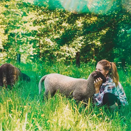 On A Farm Bohemian Switzerland דירה דצ'ין