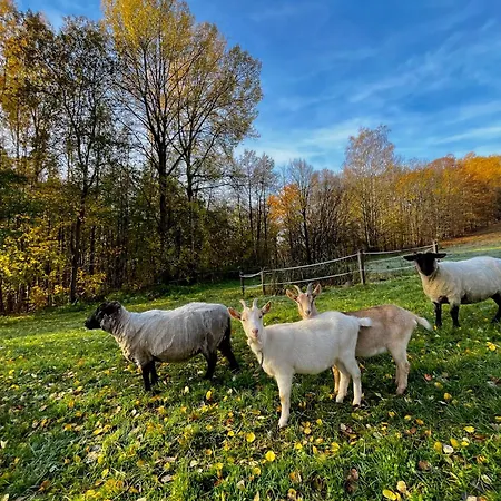 דירה On A Farm Bohemian Switzerland דצ'ין