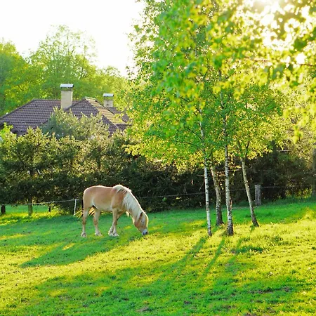 On A Farm Bohemian Switzerland דירה *