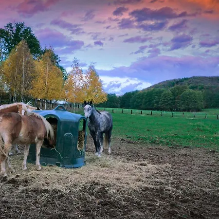 On A Farm Bohemian Switzerland דצ'ין